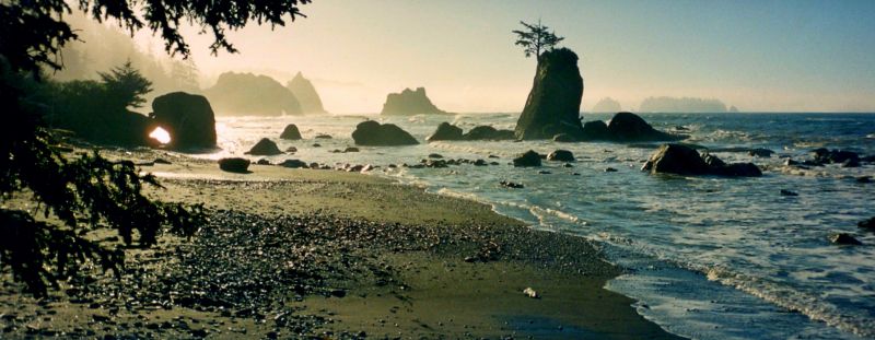 Rialto Beach sea stacks and drift logs